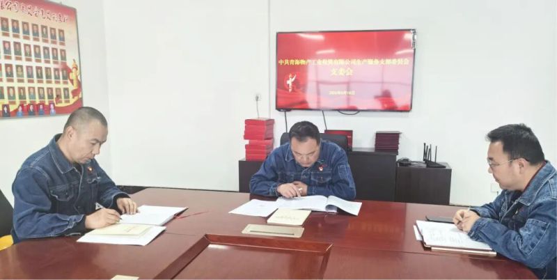 工投公司生产服务党支部召开2026年第三次支委会