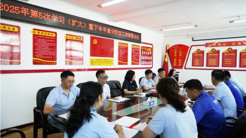 汽贸公司党支部对学习教育“回头看”工作再检查再部署再推动