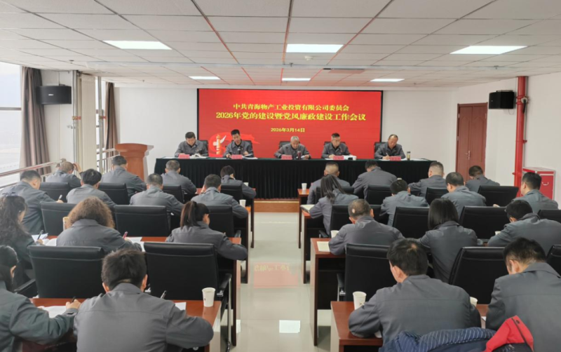 工投公司党委召开2026年党的建设暨党风廉政建设工作会议