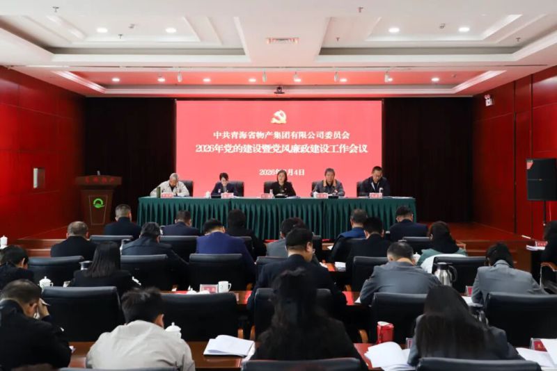 集团党委召开2026年党的建设暨党风廉政建设工作会议