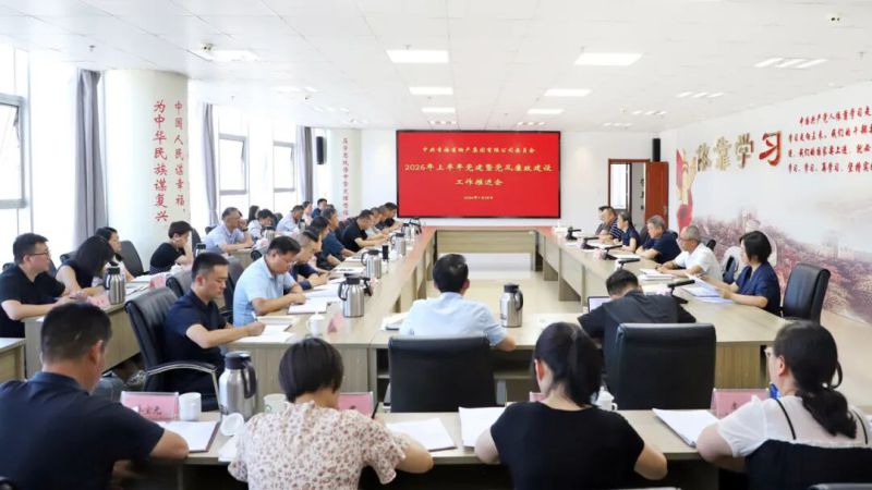 集团党委召开2026年上半年党建暨党风廉政建设工作推进会