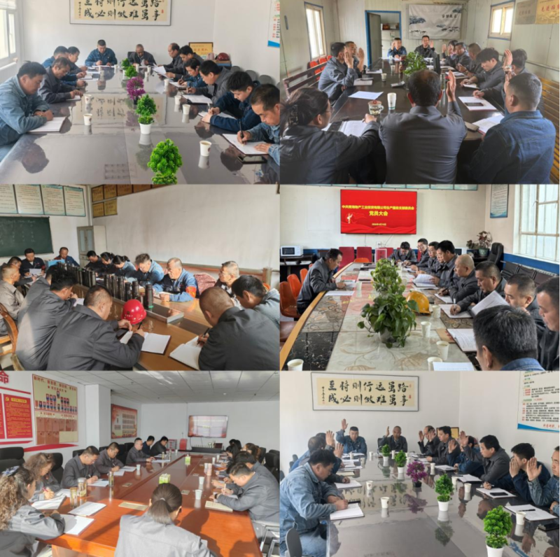 工投公司党委圆满完成所属党组织优化调整及选举工作