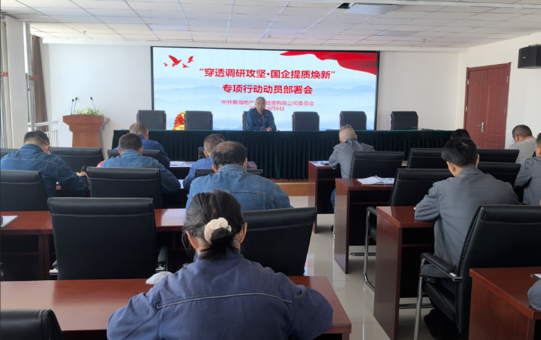 工投公司党委召开“穿透调研攻坚·国企提质焕新”专项行动动员部署会