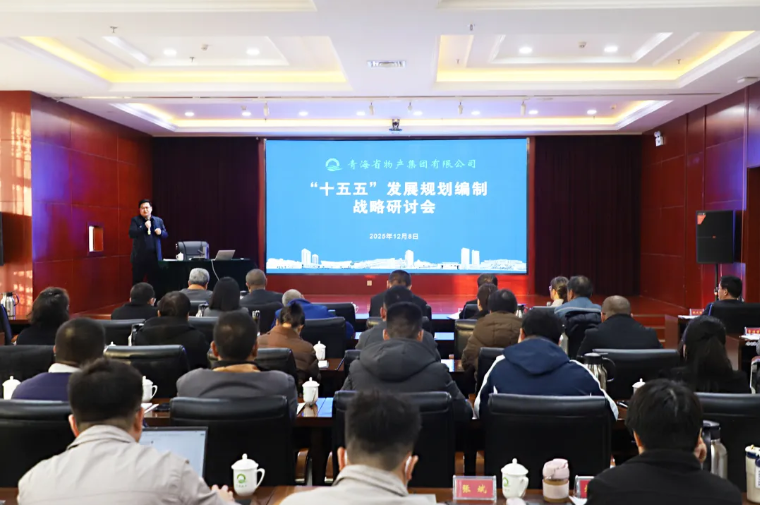 聚势谋远 破局立新——集团召开“十五五”发展规划编制战略研讨会