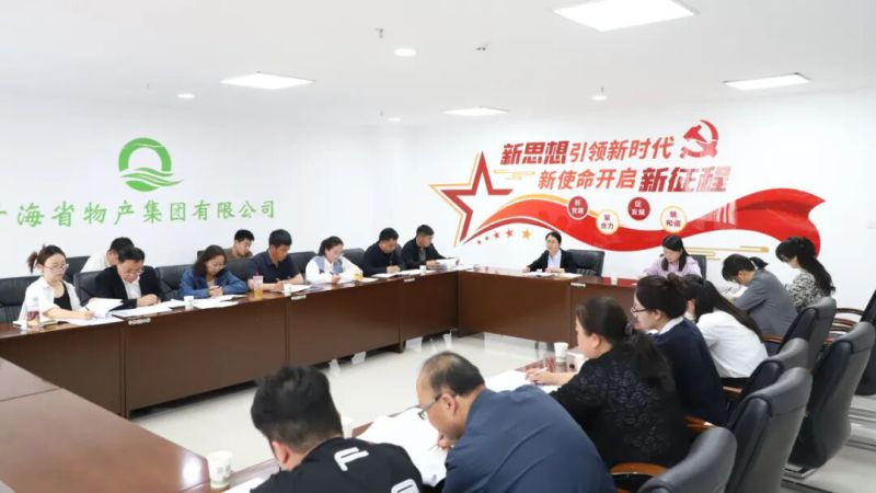 集团纪委召开&ldquo;三化&rdquo;建设年行动工作推进会