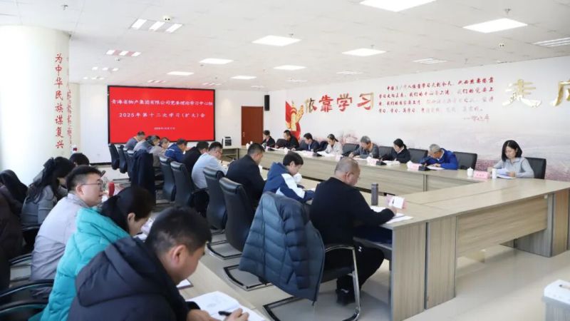 集团党委理论学习中心组召开2025年第十二次学习（扩大）会
