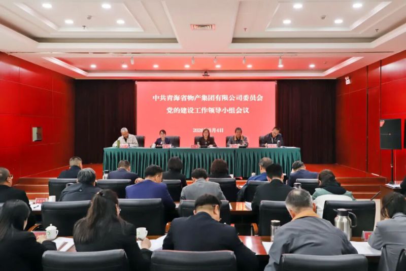 集团党委党的建设工作领导小组会议召开 启动部署树立和践行正确政绩观学习教育工作