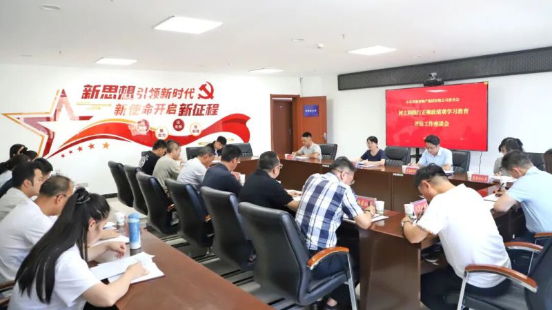 集团党委召开树立和践行正确政绩观学习教育评估工作座谈会