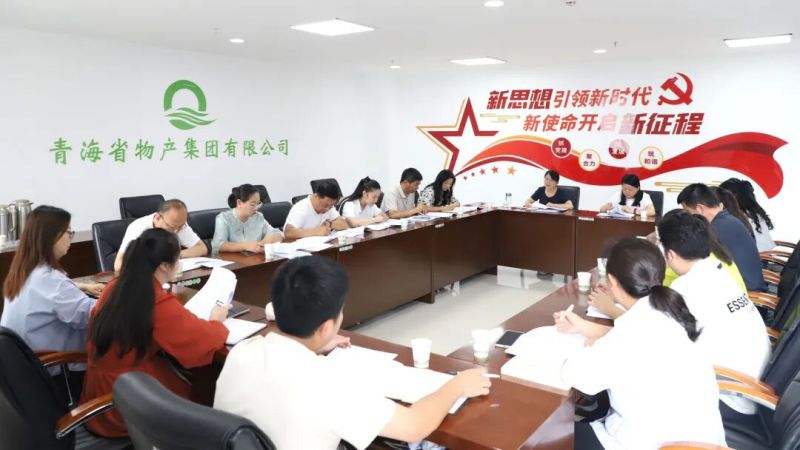 集团纪委召开&ldquo;三化&rdquo;建设年行动工作推进会