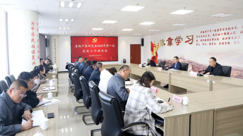集团党委召开2025年一季度党建工作推进会